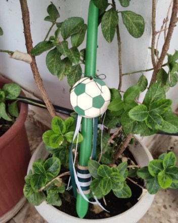 15  γ  λαμπαδα παο (1)